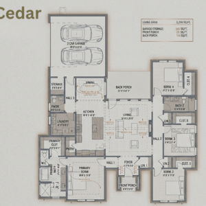 The Cedar